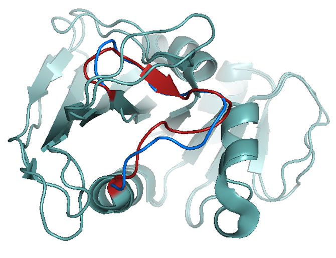 EcDHFR-NADPH-ligand structural analysis